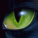 limpBISCUIT's Avatar