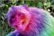 Butte_Brutsie's Avatar