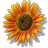 eej5's Avatar