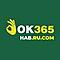 ok365habrucom's Avatar